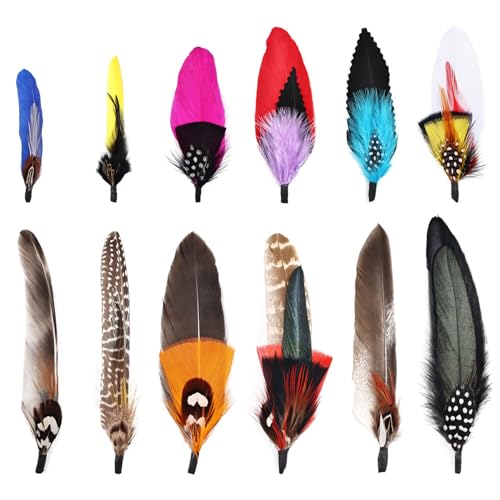Daieeparty Hat Feathers 12PCS Colorful Natural Craft Feather for Cowboy Hat Fedoras Trilby Hats Panama Hat DIY Costumes Decorations