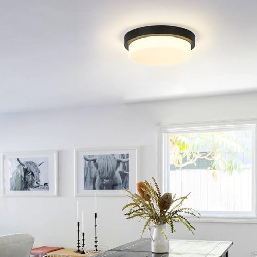 Image of 13 inch Black LED Flush Mount Ceiling Light, 24W, 5CCT | 2200LM, 2700K /3000K /4000K /5000K /6000K, Close to Ceiling Light Fixtures for Bedroom Hallway Kitchen, Milk Glass, AD-22008-L-BK