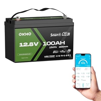OKMO 12V 100Ah LiFePO4 Battery, Lithium Battery 100A BMS, 10 Years Lifetime 15000+ Deep Cycles,for Marine, RV, Trolling Motor, Boat, Camper, Solar Home Iron Phosphate, Low Temperature Protection
