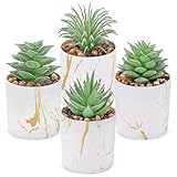 Der Rose Set of 4 Succulents Plants Artificial Mini Fake Succulents Plants for Office Desk Accessories for Women Home Decor(Green)