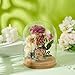 BENECREAT Glass Display Dome Cloche, 4.9x6.5 inch, Clear Glass Bell Jar with Cork Base for Decorative Jars, Flowers, Specimens, Crafts