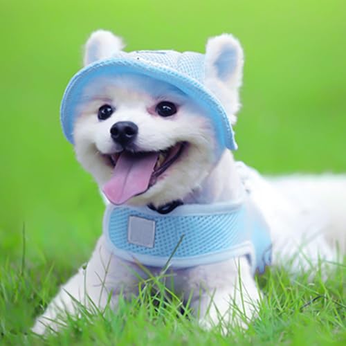 YSJCHEBS 1 Blauer Hundesonnenhut, Hundehut, Hut Für Hund, Hundesonnenschirm, Sonnenhut Für Hund, Haustierspielzeug, Hundehut Klein