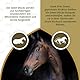 Excellent Horse Sweet Vanilla Blocks - 1 kg - Pferdebonbons - Zuckerfrei - Pferde - Vanillegeschmack - Blocks - Belohnung