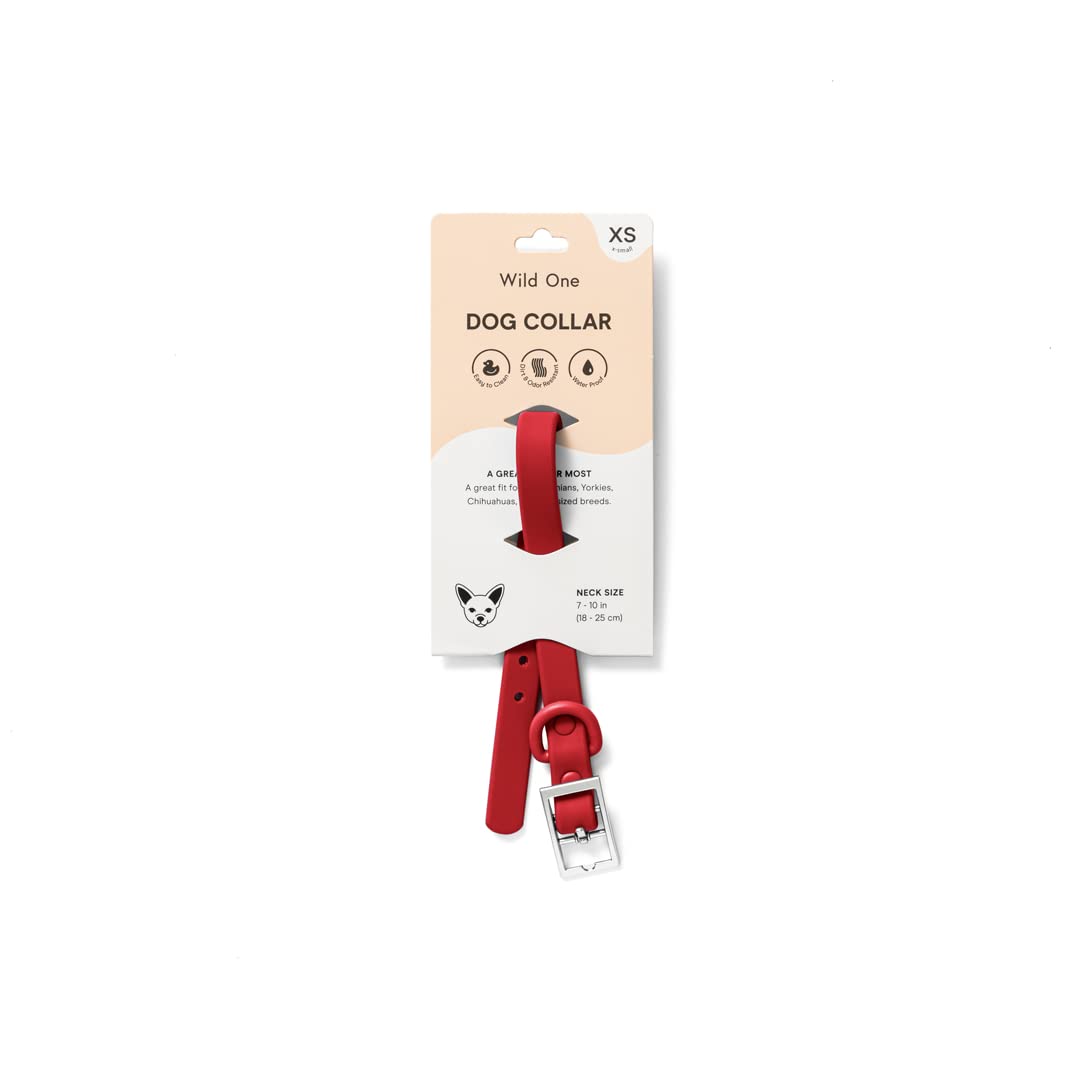 Collar Wild One X Pequeño Fresa para Paseos Urbanos