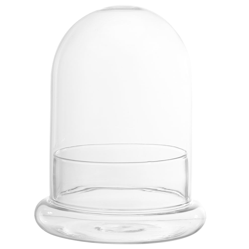 Bottiglia Di Vetro Per Terrario 6.69X4.72In Bottiglia Vuota Ecologica Con Cupola Trasparente Per Micro Paesaggio Muschio Display Casa Ufficio Decorazione