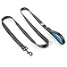 Embark Adventure Dog Leashes - Colorful, Strong, and Sturdy Dog Leash for Small, Medium, and Large Breed Dogs (Blue, 5 Ft)