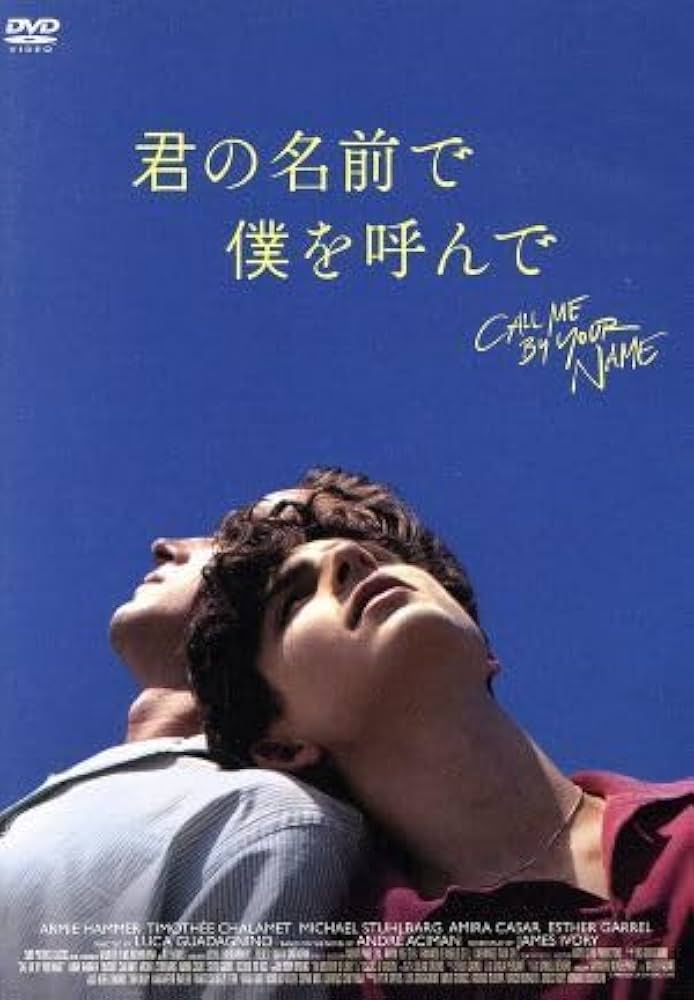 君の名前で僕を呼んで パンフレット 豪華版 通常版 写真750点掲載『君の名前で僕を呼んで』豪華版パンフレット数量