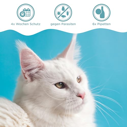 OptiPet Spot On Pipetten für Katzen 6x1ml - Hochwirksame Tropfen gegen Milben, Flöhe, Zecken & Läuse - Parasiten Abwehr Schutz bis zu 24 Wochen - Flohschutz, Zeckenschutz, Zeckenmittel für Katzen
