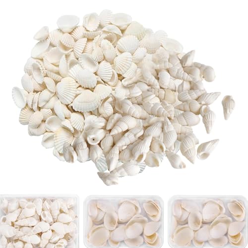 ZhouWei 100-150 Piezas Conchas Naturales, Blanco Conchas de Mar Decoracion, Caracola No Perforado, para Manualidades, Joyería, Rellenar Jarrones, Pulseras, Accesorios de Colla