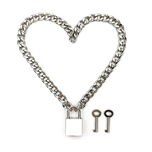 Succuba Padlock Necklace Metal Chain Collar Choker with Two Keys and Box for Women, Men and Pet (C, 20)