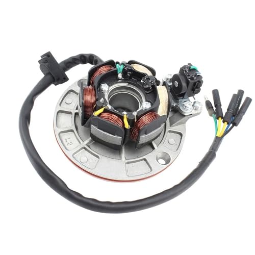 Kit Stator Magnéto YX 150cc Allumage Éclairage pour Dirt Bike Kayo Motocross