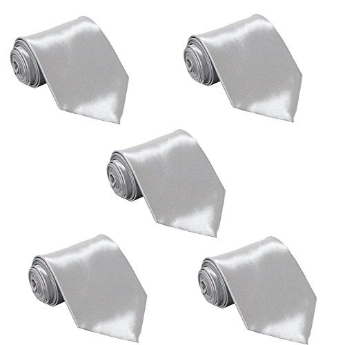 FOMANN Mens Skinny Tie Wholesale Lot of 5 Mens Solid Color Slim Ties (Silver)