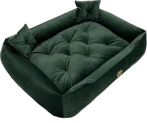 Dogs4Life Hundebett Velours XXL 135 x 100 cm | Hundebett für sehr große Hunde | Orthopädisch | Hundekissen | Waschbar | Outdoor | Mit Rand | Wasserabweisend (XL, Grünes Velours)