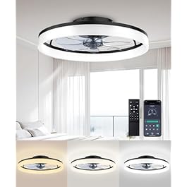 Ceiling Fans with Lights...