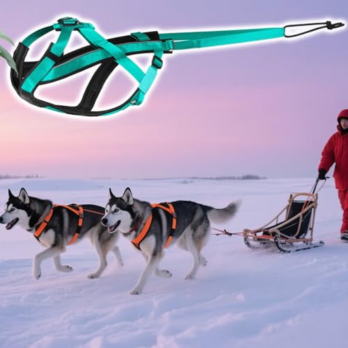 Schlittenhund Geschirr,Reflektierendes Laufgeschirr Für Hunde | Komfortables Verstellbares Gurtzeug Für Schlitten Training Outdoor Aktivitäten