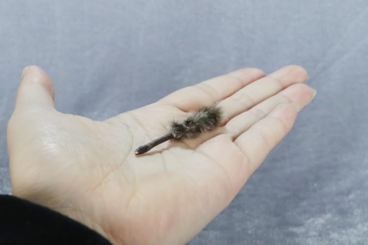 Miniatura 3 de AirAds Dollhouse - Plumero miniatura a escala 112