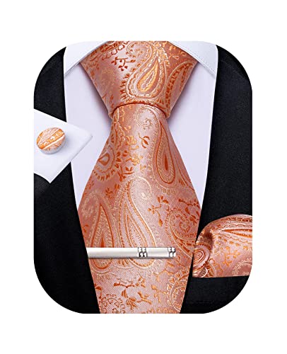 Image of DiBanGu Paisley Ties for Men Silk Necktie and Pocket Square Cufflinks Tie Clip Set Woven Classic Mens Tie for Wedding Party