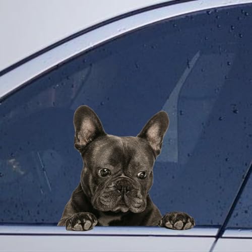 Image of French Bulldog Car Window Stickers French Bulldog Car Decal Animal Pet Window Decal Car Bumper Decals Decor for Truck Window Bumper Gift to Dog Lover