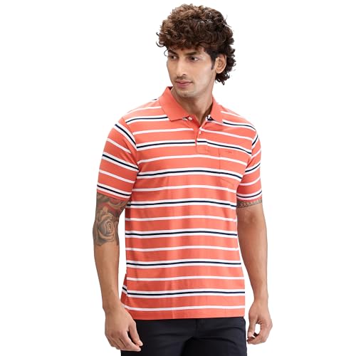 Image of Colorplus Men's Classic Fit Stripe Pattern Pure Cotton Half Sleeve Polo Neck Casual T-Shirt