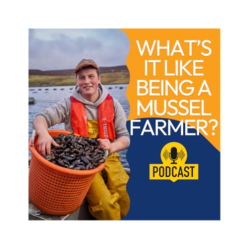 What's it like being a mussel farmer?