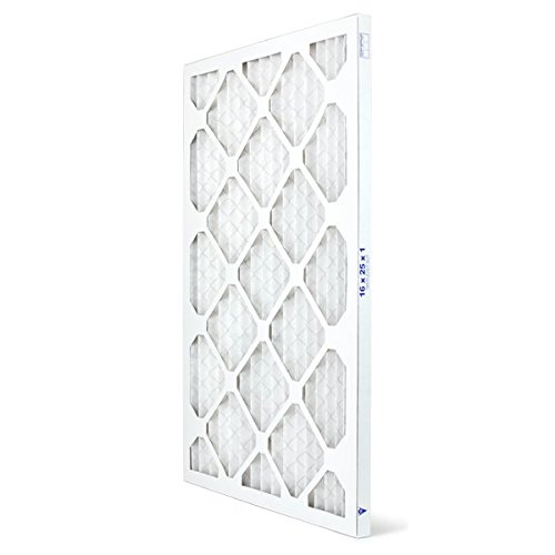 Clean Air, Fewer Allergies: AIRx Filters 12-Pack Review 5 41z2qMP8BTL. SL500