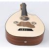 Electric Oud Cutaway Semi Acoustic Oud