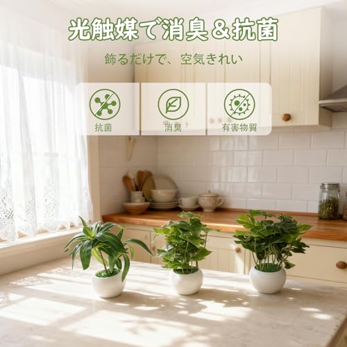 Q・L・Y 観葉植物 フェイクグリーン 3点セット ミニ 卓上 モンステラ アイビー ユリタケ PP鉢 造花 インテリア 置物 玄関 リビング おしゃれ [3]