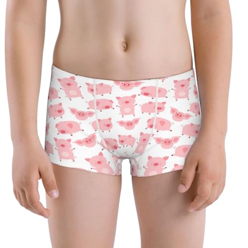 Boys' Cotton Boxer Brief Soft Underwear-Kawaii Pigs