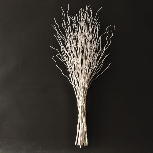 Artificial Lifelike Curly Willow Branches Decorative Dried Twigs 30Inches Fake Bendable Sticks Plastic Vines DIY Greenery Plants Craft for Garden Hotel Farmhouse Decor (White 5)