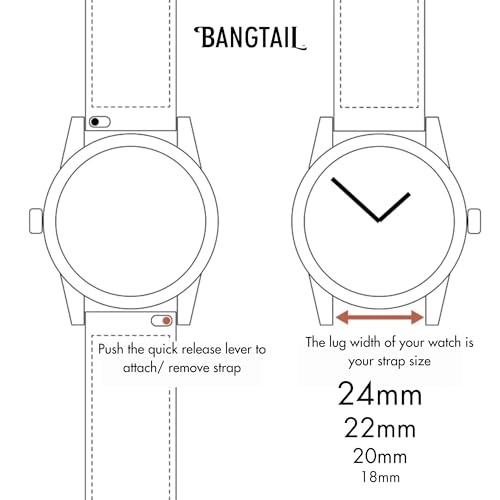 Image of Wild Wanderer Original Canvas & Leather Watch Strap 20mm /22mm for Titan Watches | Seiko | Timex | Fossil | Omega | Citizen | Automatic & Quartz Watches