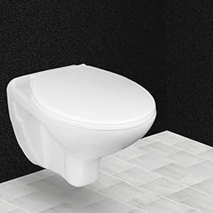 Hindware Flora One Piece Wall Mounted Western Toilet Commode (Starwhite)