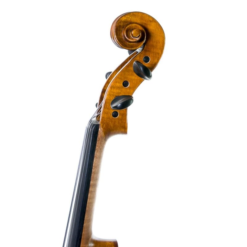 Gliga - Violín Gliga Gems II 4/4 5 cuerdas 4/4 - COVIGLGEMII445