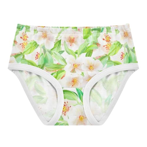 Joisal Pastel Floral Green Cute Panties Girl Girls Underwear Toddlers Cotton Animals Briefs Girls Undies 2t