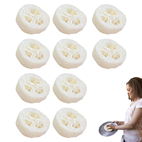 VRw`}̃XCX - Όp̓VRw`} XCX 10  | w`}Ό{bNX gC c[ N[i[ X|W tFCV \[v z_[ iyoki