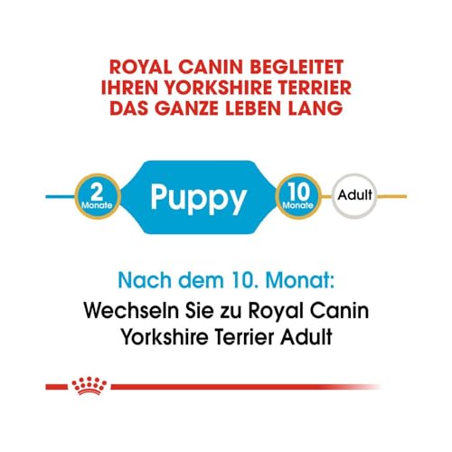 ROYAL CANIN Yorkshire Terrier Puppy Trockenfutter | Speziell für Yorkshire Terrier Welpen bis zum 10. Monat | Unterstützung der körpereigenen Abwehrkräfte | 4er Pack | 4 x 500 g