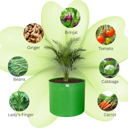 Image of HDPE UV Treated 340 GSM Plant Growing Bags for Terrace Gardening Easy to Use 15 x 12 Inch - Pack of 5
