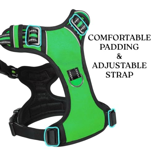 Image of No Pull Dog Chest Belt Harness, Comfortable & Adjustable Size for 14-23 Kg Pet (Green, Medium)