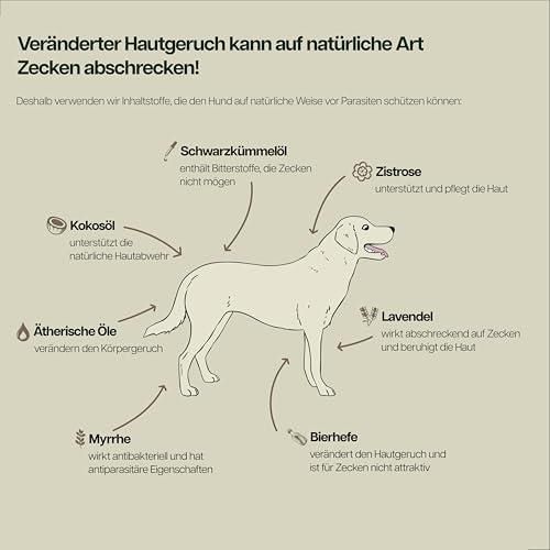 NaturDrops Z-Control Hundesnacks mit Funktion 125 Stück, fermentierte Kräuter, Schutzkomplex aus Kokosöl, Zistrose, Schwarzkümmelöl, Lavendel zur Zeckenabwehr, 100% natürlich - 250 g