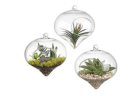 Siyaglass Pack of 3 Hanging Terrarium Glass Vase Flower Air Plant Pot Container Home Office Wedding Decoration Heart Shape
