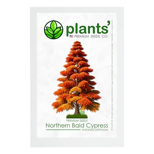Northern Bald Cypress Tree | Premium Seeds | Taxodium distichum 'Fall' | Plants'&reg; (Premium Seeds...