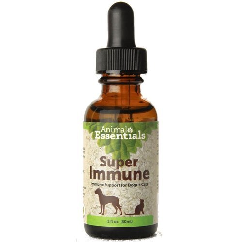 Animal Essentials Super Immune Support for Dogs & Cats, 2 fl oz | Ol Immune Complex Proprietary Blend Promotes Healthy Immune System