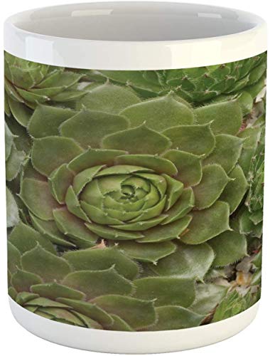 Agave Mug,Miniature Succulent Plants Growth Tropical Garden Botany Dessert Nature Themed Photography,Ceramic Coffee Mug Cup for Water Tea Drinks,11 oz,Green