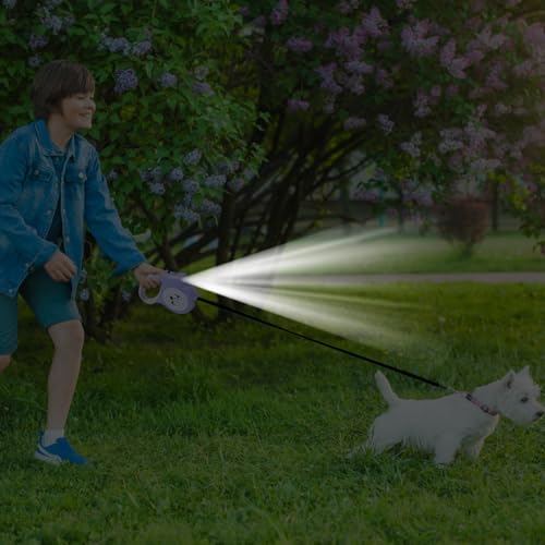 犬用引き込み式リード - LEDライトとハンドル付きの照明付き伸縮リード - 散歩、旅行、祭りのパレード、キャンプ、外出用の犬の訓練用品