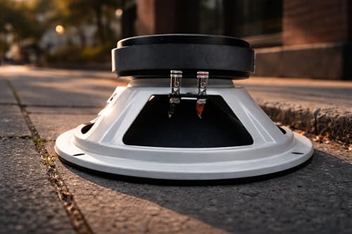 Resilient Sounds RS 10M 300w rms 4ohm 10