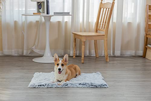 Pjyucien Fluffy Fleece Calming Pet Throw Blanket, Super Soft And Warm For Indoor Cats And Dogs, Small 16 * 24", Machine Washable, Grey Puppy Blanket #TOP2