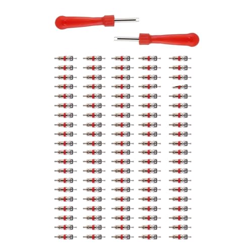 Image of WILLIBEE Valve Core Remover Tool with Car Motorcycle Bike Truck Replacement TPMS Nickel Plated Tire Tyre Valve Stem Core Part (100Pcs)