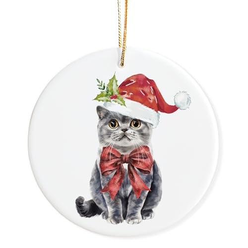 Mancheng-zi British Shorthair Cat Ornament for Christmas