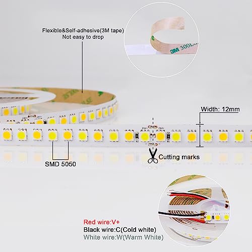 Tira LED Tunable White SMD 5050 16.4ft 24V IP20 miniatura 3