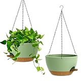 Homeuouz 25cm Selbstbewässernde Hängende Blumenampel 2er-Set – Blumentopf Hängend Innen & Außen, Hängeblumentöpfe mit Drainage für Balkon, Wohnzimmer, Küche,Grün mit Braun