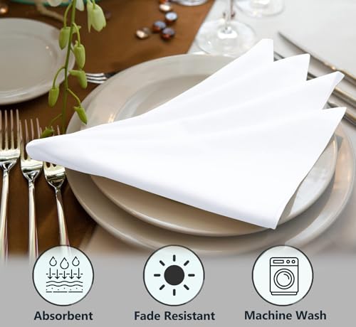 image for Ruvanti Cloth Napkins Set of 4, 18x18 Inches Napkins Cloth Washable, S